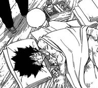Mest descansa herido.jpg