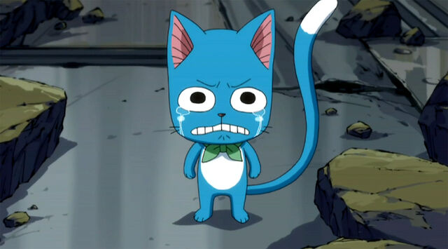 File:Happy cries, when he saw Natsu is loosing.jpg