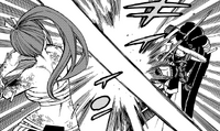 Erza vs. Irene