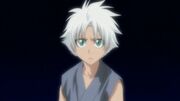 Little shiro-cha