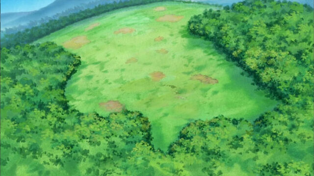 File:Uria Forest.jpg