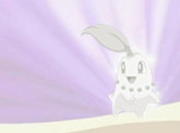 Chikorita destello