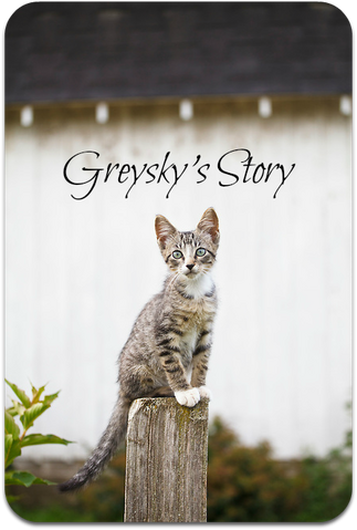 File:Gray-tabby-kitten-seated-on-fencepost-looking-at-camera-MG-7506.png