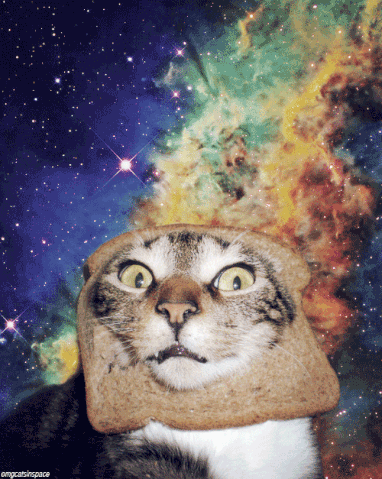 File:Giphy.gif