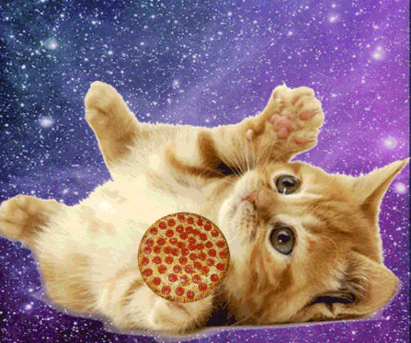 File:FRPTBMDHCB8T07B.LARGE.gif