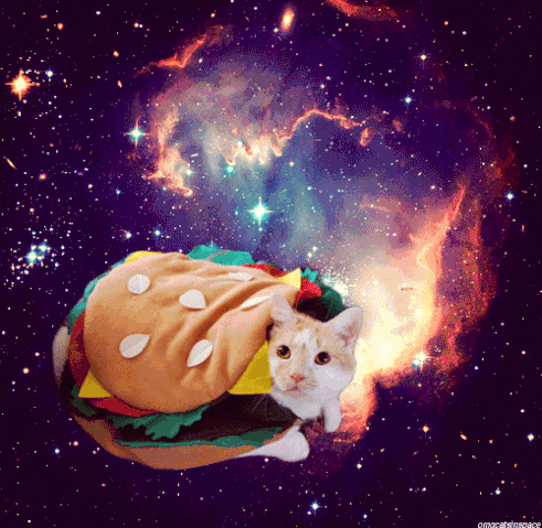 File:Tumblr msbqis9JCa1rotk4lo2 500.gif