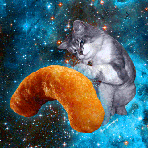 File:Tumblr nbaa9sZBKd1r4xjo2o1 500.gif