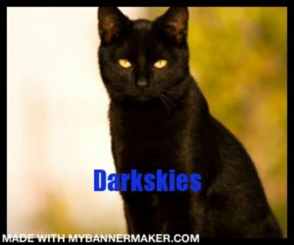 File:Banner, Darkskies.jpg