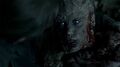 Thumbnail for version as of 02:20, July 22, 2014