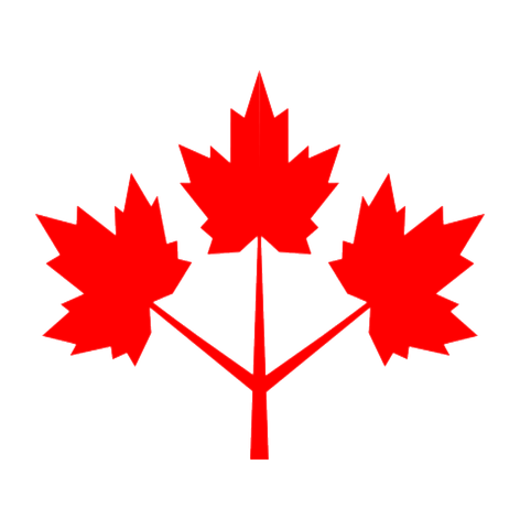 File:Canadian Resistance Icon.png
