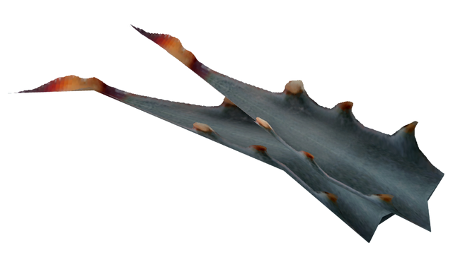File:NevadaAgaveFruit-nobg.png