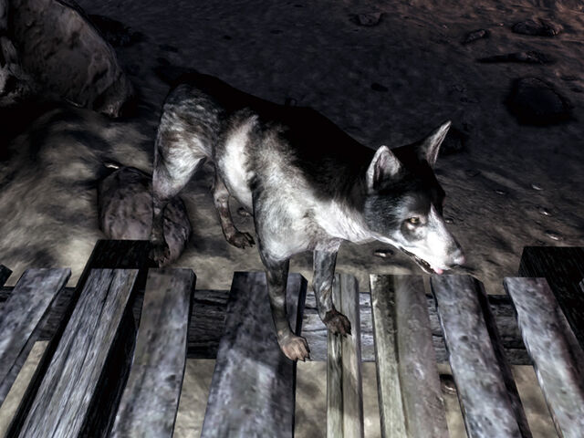 File:Rex FO3.jpg