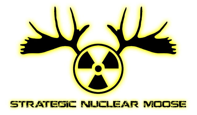 File:SNM-1.png