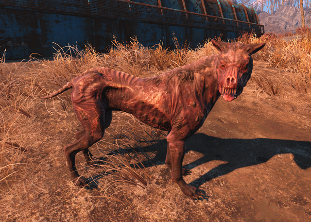 File:FO4 Wounded Dog.png