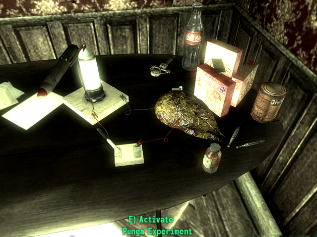 File:Punga Experiment.png