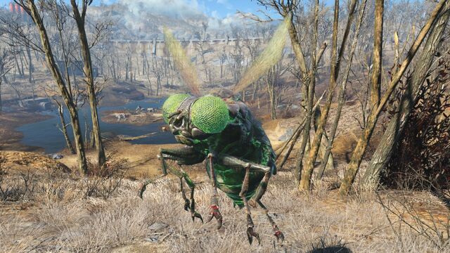 File:FO4 Glowing Bloatfly.jpg
