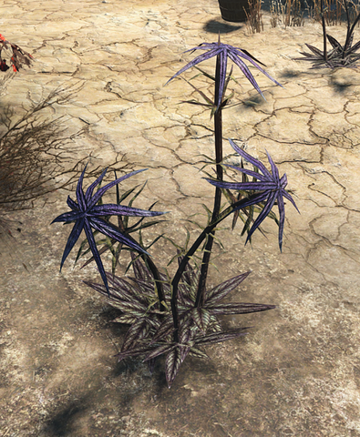 File:FO4 Thistle plant (disarmed).png