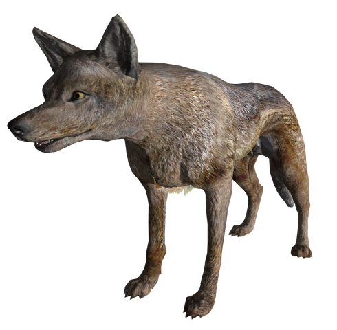 File:CoyoteFNV.png