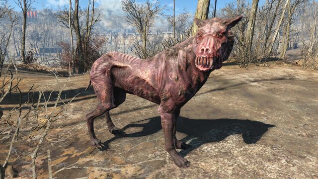 File:FO4 Alpha wild mongrel.jpg