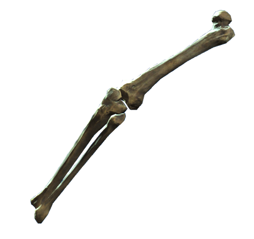 File:Left leg bones.png