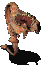 FloaterAniGif