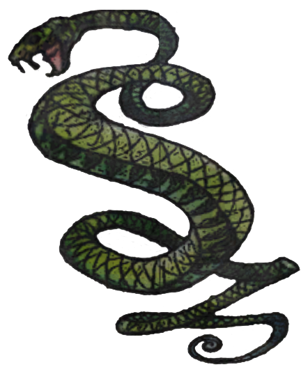 Snake на английском. Фоллаут туннельные змеи. Фоллаут 3 туннельные змеи. Змея на английском языке. Туннельный змей.