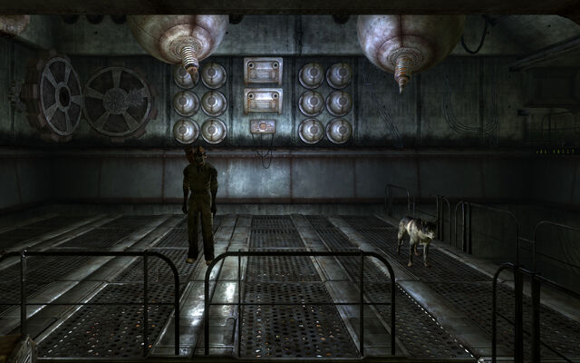 File:Dog and lobotomite experiment.jpg