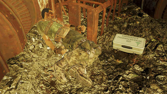 File:FO4NW Tyler.png