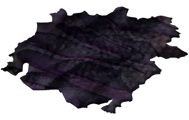 File:FireGeckoHide.png