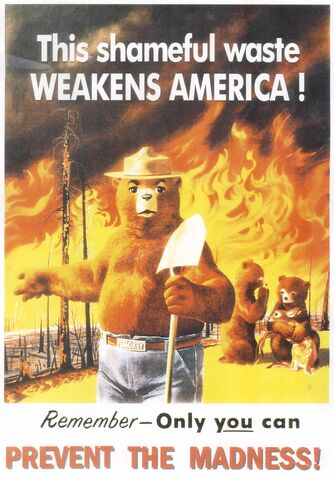 File:Smokeythebear.jpg