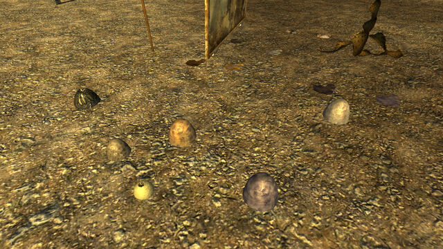 File:FNV TestMap01 eggs.jpg