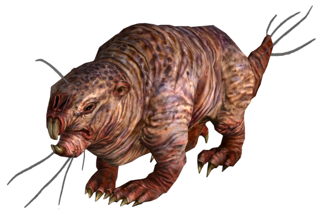File:Mole rat FO3.png