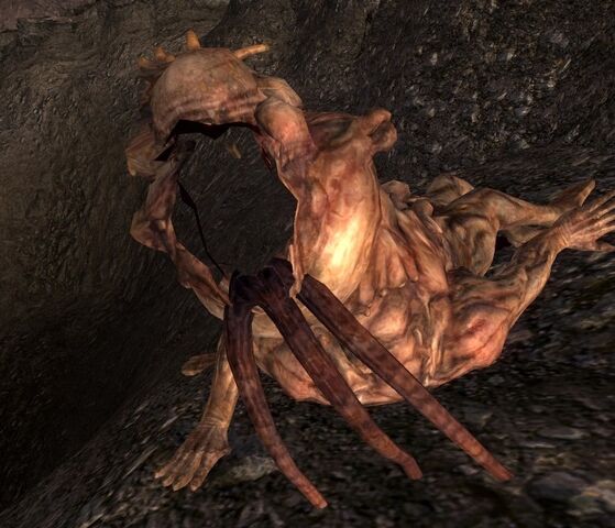 File:Fonv moe's head bug.jpg