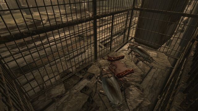 File:FO3 Sniper Shack Jitters&Co 1.jpg