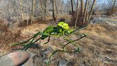 FO4 Glowing bloodbug.jpg