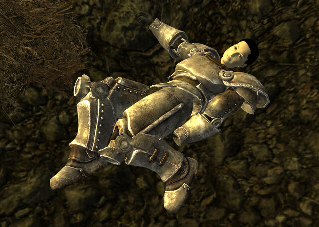 File:Paladin Raseleanne.jpg