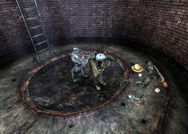 File:Jimmy in the well.jpg