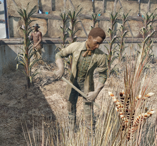 File:Settler.png