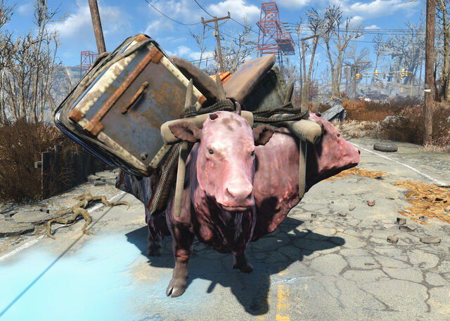 File:Ol Girl.jpg
