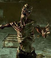 Feralghoul