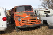 IMG 7106