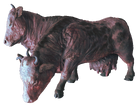 Brahmin fo4