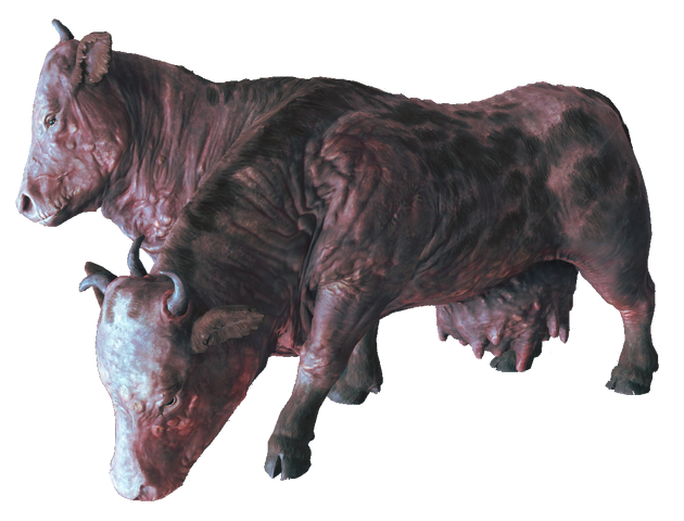 File:Brahmin fo4.png