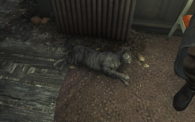 File:Fo4FH Tink.jpg