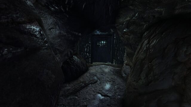File:Damp cave4.jpg