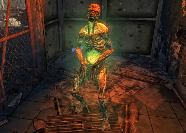 File:Stefan friendly.jpg
