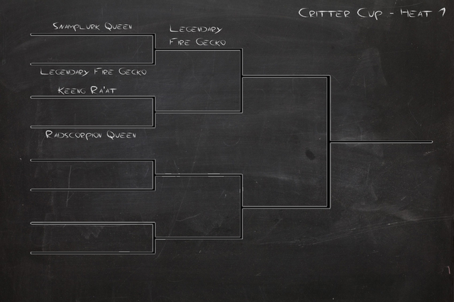 File:Critter Cup - Heat 1.png