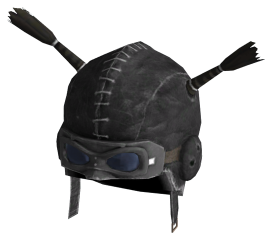 File:Raider Psycho-Tic Helmet.png