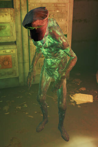 File:First Mate ghoul.jpg