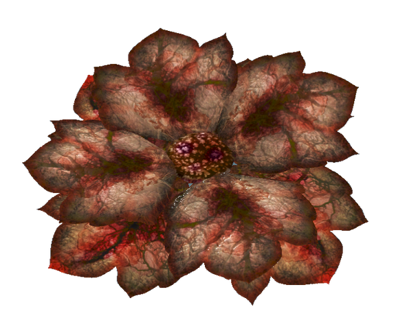 File:Bloodleaf.png